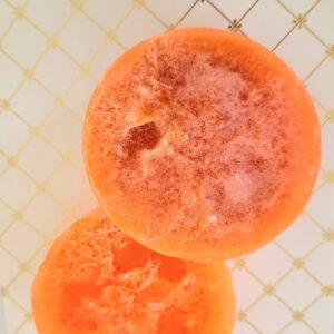 Mango Loofah Soap